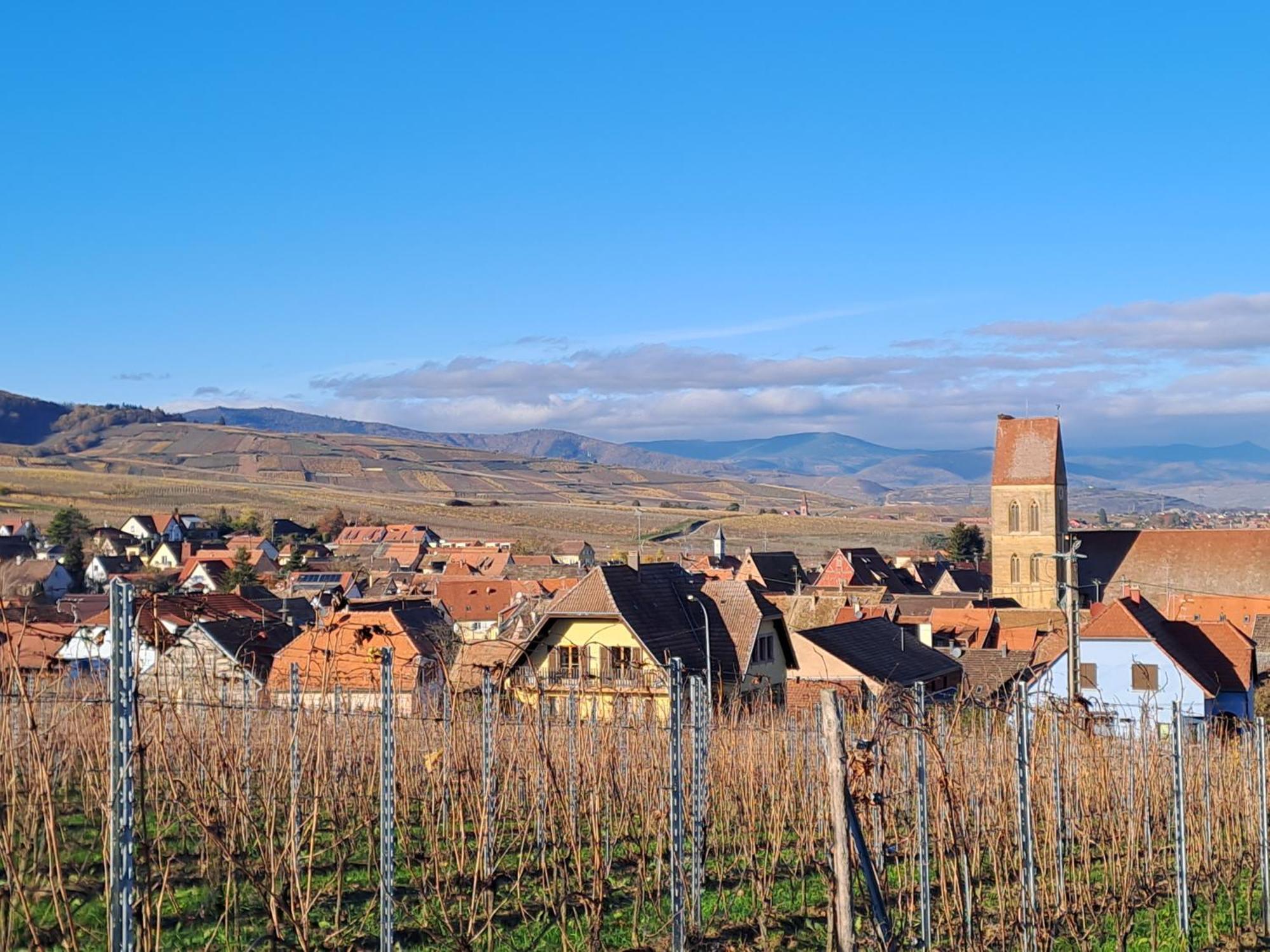 Elsass Design Hygge Villa Eguisheim Kültér fotó