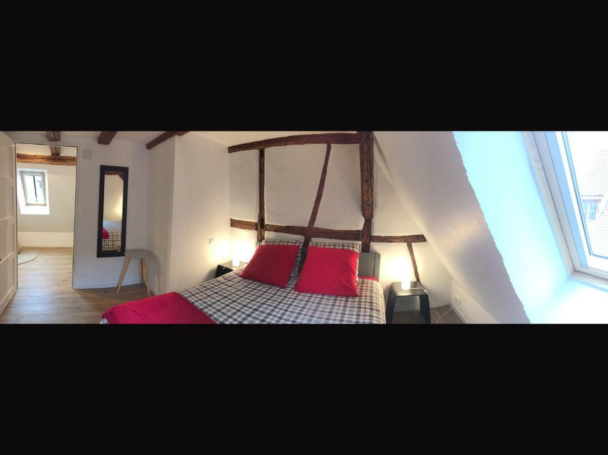 Elsass Design Hygge Villa Eguisheim Kültér fotó